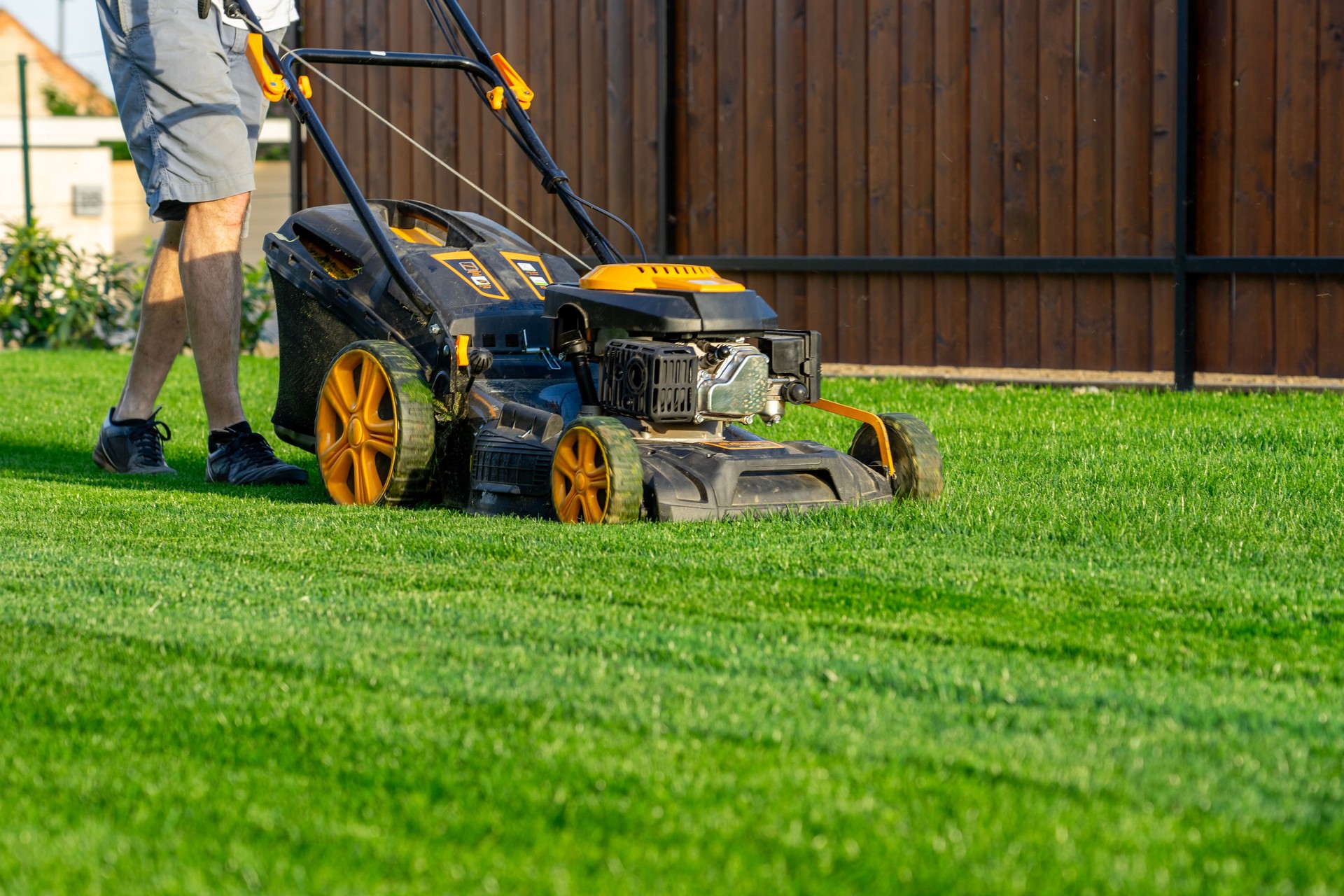 green grass cutting with lawn mower in home garden